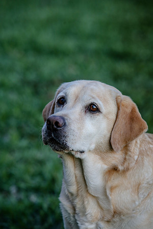 2020-Kathleen-Riley-Photography-2231