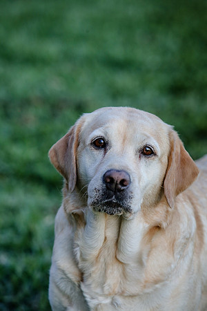 2020-Kathleen-Riley-Photography-2233