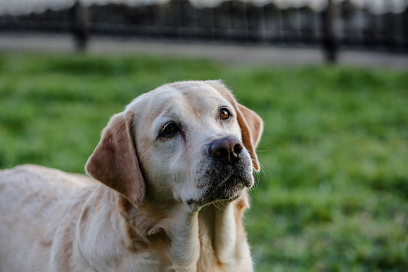 2020-Kathleen-Riley-Photography-2256