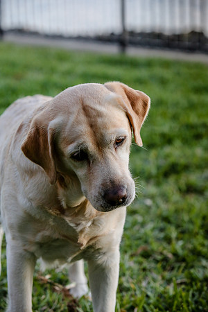 2020-Kathleen-Riley-Photography-2262