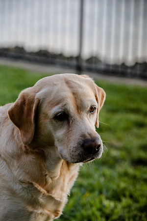 2020-Kathleen-Riley-Photography-2264