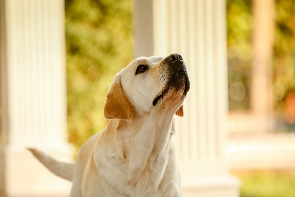 2020-Kathleen-Riley-Photography-5432