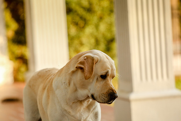 2020-Kathleen-Riley-Photography-5433