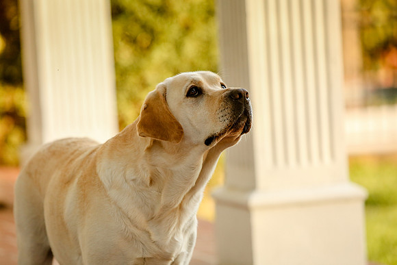 2020-Kathleen-Riley-Photography-5434