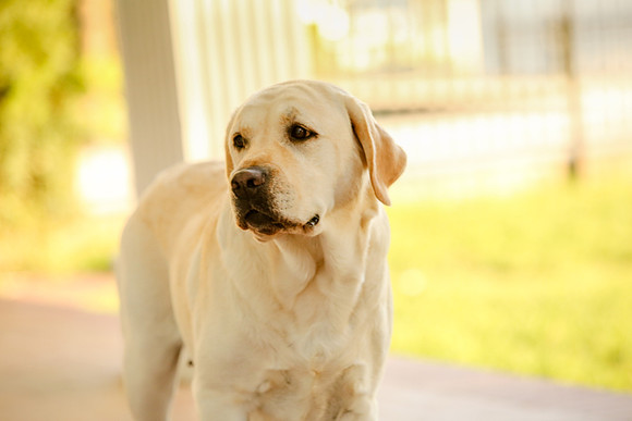 2020-Kathleen-Riley-Photography-5444