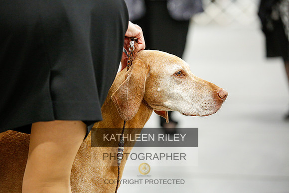2022-KathleenRileyPhotography-0152