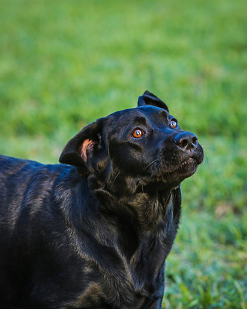 2020-Kathleen-Riley-Photography-2561