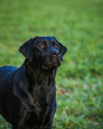 2020-Kathleen-Riley-Photography-2566