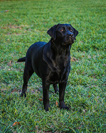 2020-Kathleen-Riley-Photography-2571