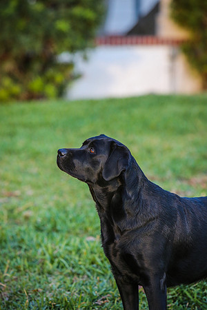 2020-Kathleen-Riley-Photography-2587