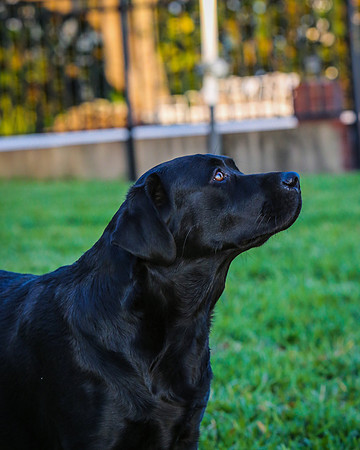 2020-Kathleen-Riley-Photography-2622