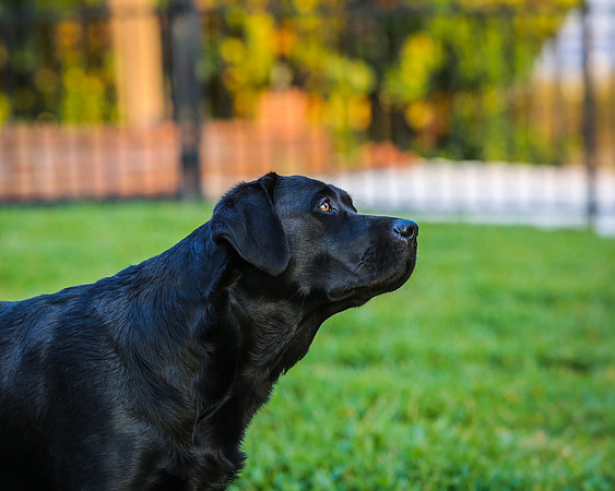 2020-Kathleen-Riley-Photography-5588