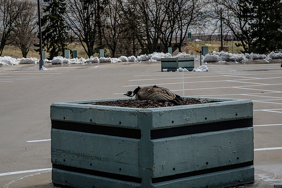 Plymouth 2020-Kathleen-Riley-Photography-3176