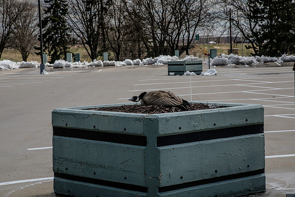 Plymouth 2020-Kathleen-Riley-Photography-3177