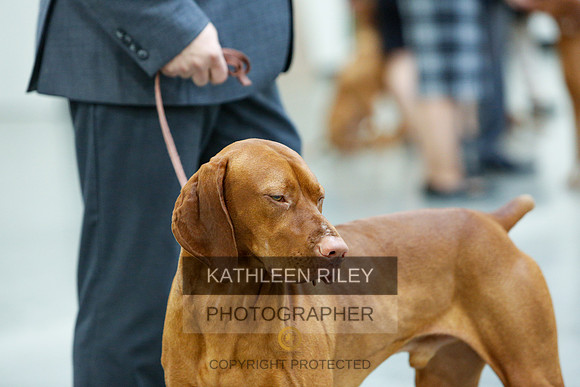 2022-KathleenRileyPhotography-2332