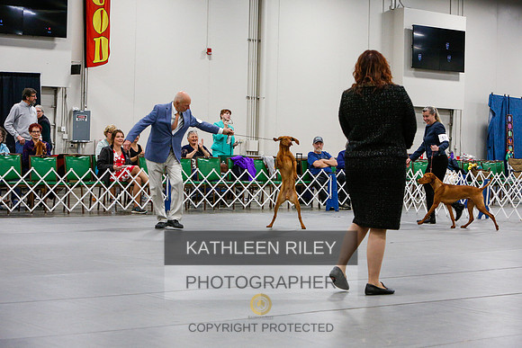 2022-KathleenRileyPhotography-6712