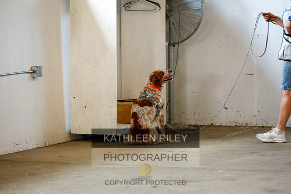 2022-KathleenRileyPhotography-9384
