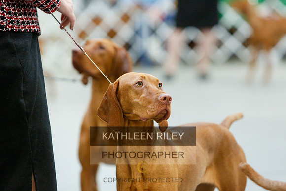 2022-KathleenRileyPhotography-3855