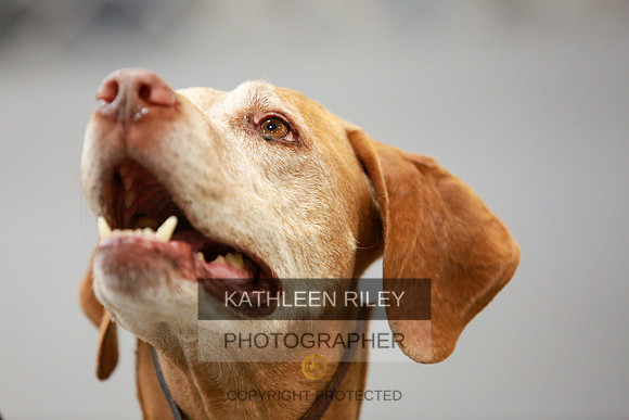 2022-KathleenRileyPhotography-7888