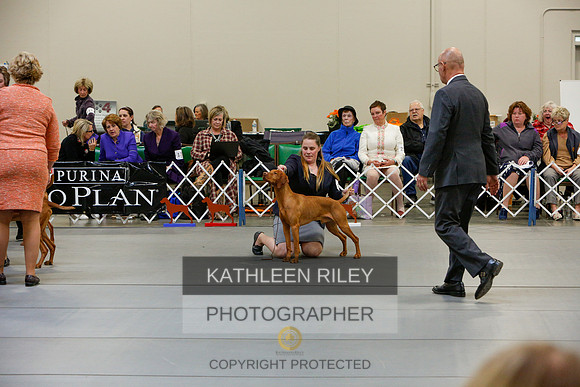 2022-KathleenRileyPhotography-5853