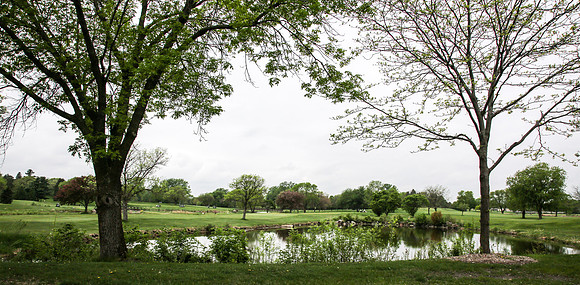 2020-Kathleen-Riley-Photography-3249 Golden Valley