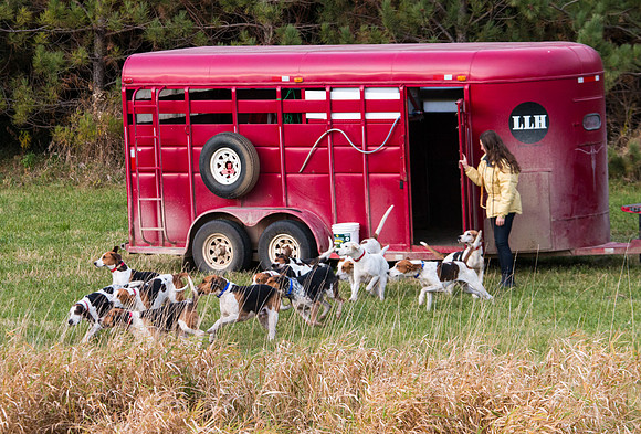 Long Lake Hounds Minnesota