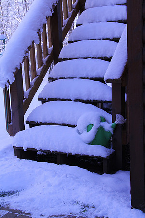 Minnesota Winter