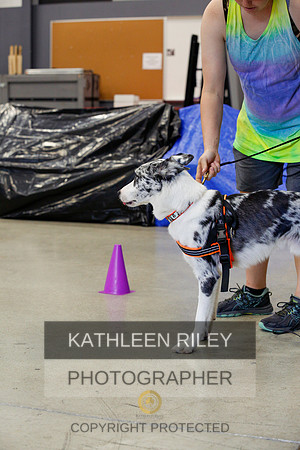 2022-KathleenRileyPhotography-7042