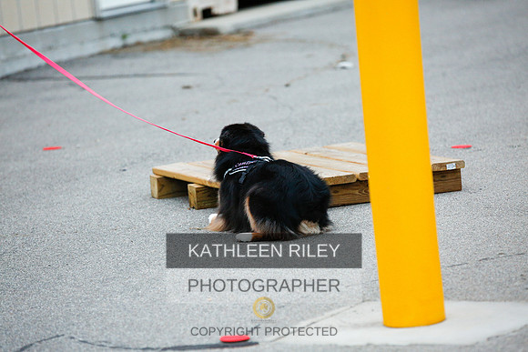 2022-KathleenRileyPhotography-7638