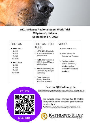 Midwest Regional Scent Work 2