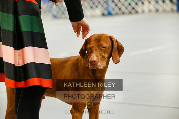 2022-KathleenRileyPhotography-0824