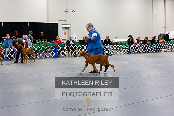 2022-KathleenRileyPhotography-1401