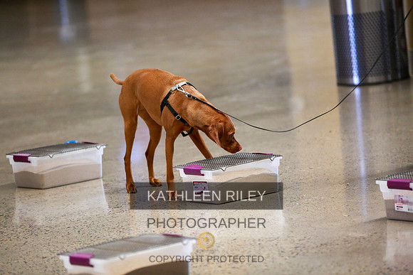 2022-KathleenRileyPhotography-7750