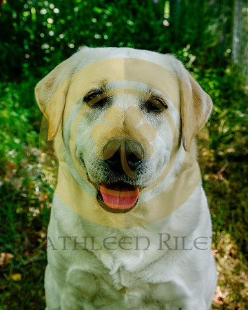2020-Kathleen-Riley-Photography-4985
