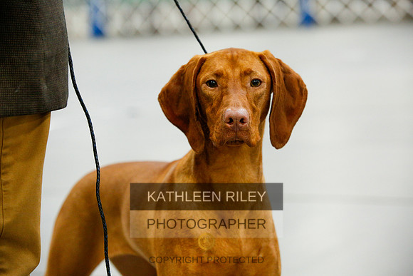 2022-KathleenRileyPhotography-9440