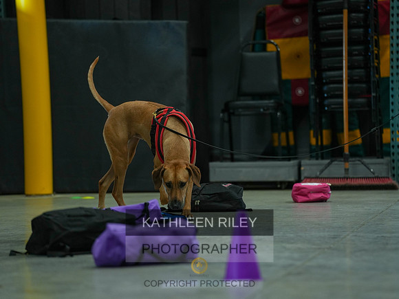 2022-KathleenRileyPhotography-03775