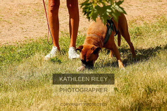 2022-KathleenRileyPhotography-0273