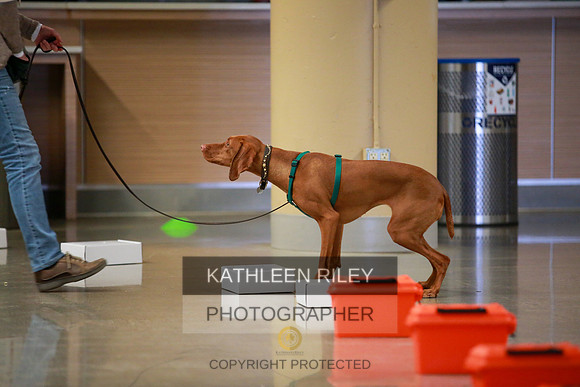 2022-KathleenRileyPhotography-7738