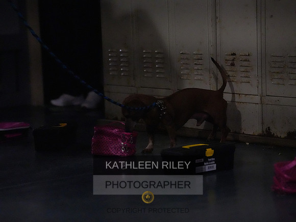 2022-KathleenRileyPhotography182