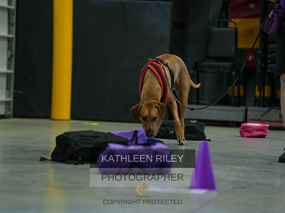 2022-KathleenRileyPhotography-03788