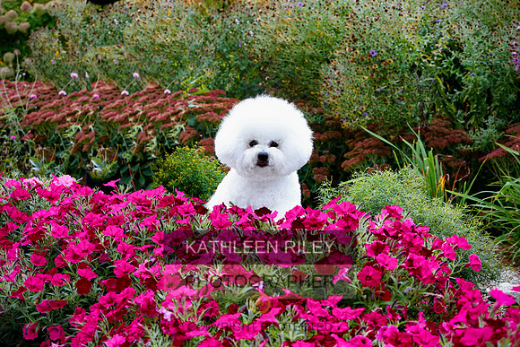 2021-KathleenRileyPhotography-3