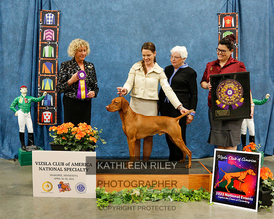 2022-KathleenRileyPhotography-7389