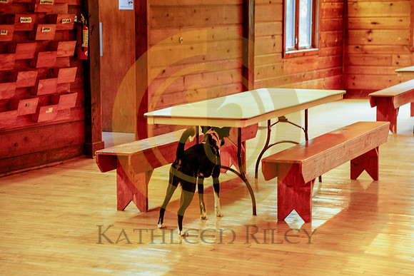 2020-Kathleen-Riley-Photography-6084