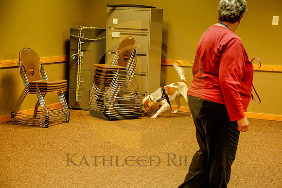2020-Kathleen-Riley-Photography-6121