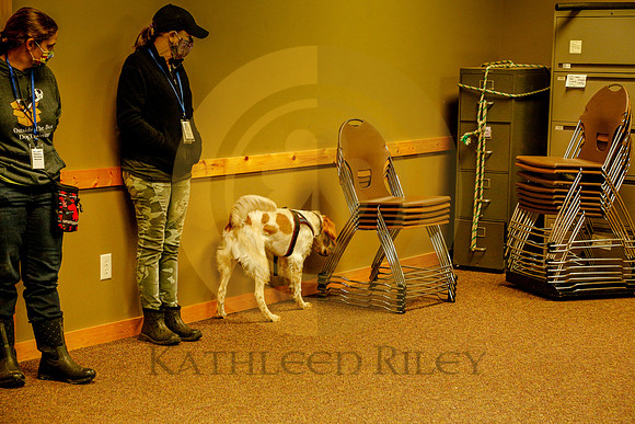 2020-Kathleen-Riley-Photography-6123