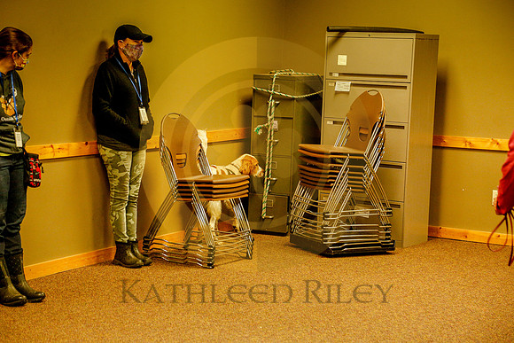 2020-Kathleen-Riley-Photography-6131