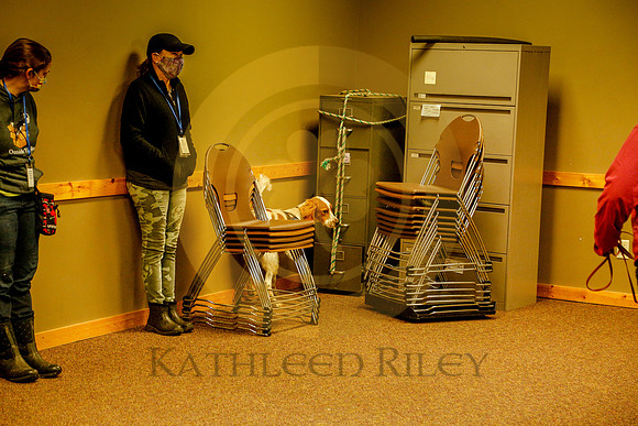 2020-Kathleen-Riley-Photography-6132