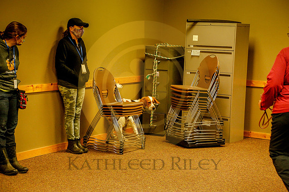 2020-Kathleen-Riley-Photography-6133