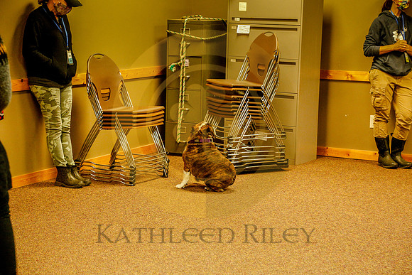 2020-Kathleen-Riley-Photography-6139