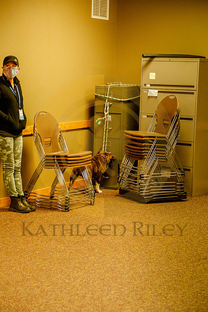 2020-Kathleen-Riley-Photography-6141